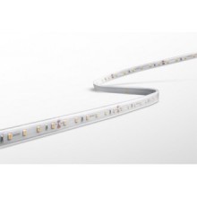 STRIP LED ACCENTO PRO 12W/m 60 led/m - 60W - 3000K - 1200 Lm/m - IP67 - Bob. 5 m - Color Box