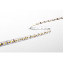 STRIP LED ACCENTO PRO  7W/m - 144 Led/m - 2700K - 805 Lm/m - Dimm. - IP20 - Bob.5 m - Color Box