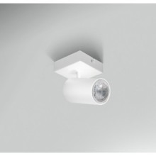 FARETTO SOFFITTO ENFASI SQUARE BIANCO - GU10 - IP20 - Color Box