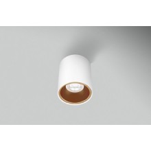 PLAFONIERA LED ESSENZA ROUND BIANCA/GOLD d. 80 - GU10 - IP20 - Color Box